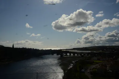 DSC_7252 (Large).JPG